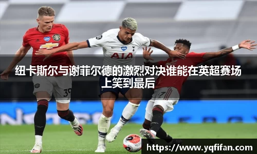 zoty中欧官方网站