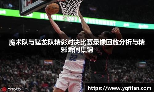 zoty中欧