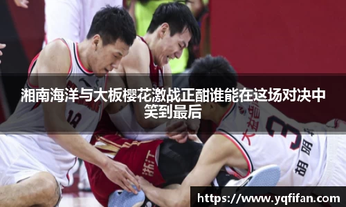 zoty中欧