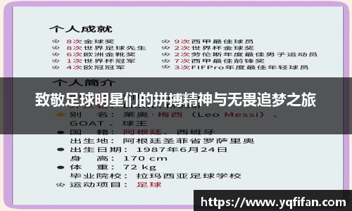 zoty中欧